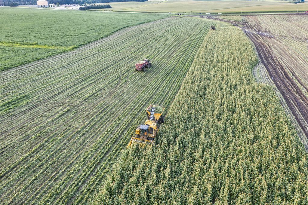 Drone shot capturing tractors harvesting corn in a rural Minnesota field.